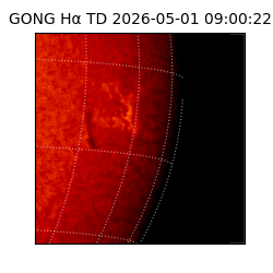 gong - 2026-05-01T09:00:22