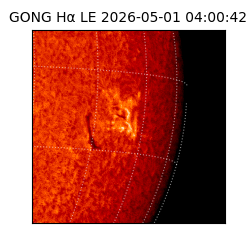gong - 2026-05-01T04:00:42