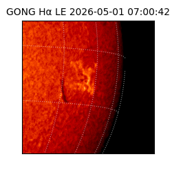 gong - 2026-05-01T07:00:42