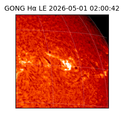gong - 2026-05-01T02:00:42