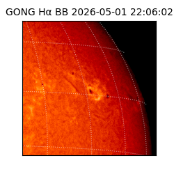 gong - 2026-05-01T22:06:02