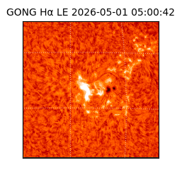 gong - 2026-05-01T05:00:42