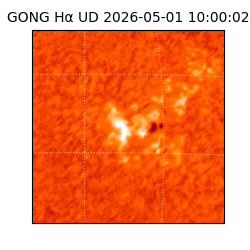 gong - 2026-05-01T10:00:02