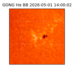 gong - 2026-05-01T14:00:02