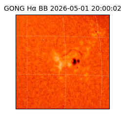 gong - 2026-05-01T20:00:02