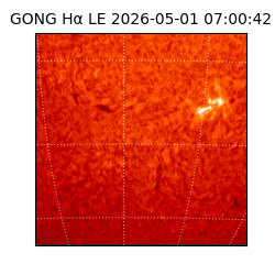 gong - 2026-05-01T07:00:42