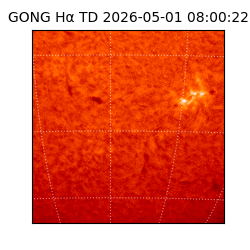 gong - 2026-05-01T08:00:22