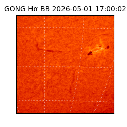 gong - 2026-05-01T17:00:02