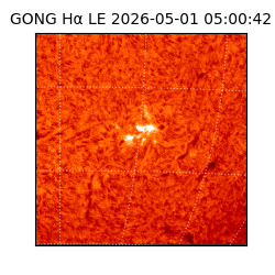gong - 2026-05-01T05:00:42