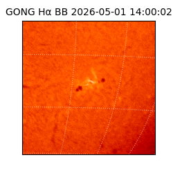 gong - 2026-05-01T14:00:02