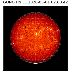 gong - 2026-05-01T02:00:42