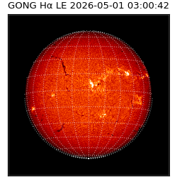 gong - 2026-05-01T03:00:42