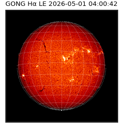 gong - 2026-05-01T04:00:42