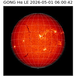gong - 2026-05-01T06:00:42