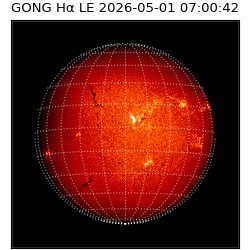 gong - 2026-05-01T07:00:42