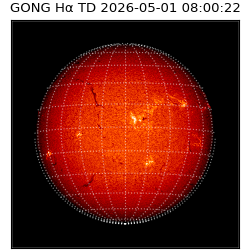 gong - 2026-05-01T08:00:22