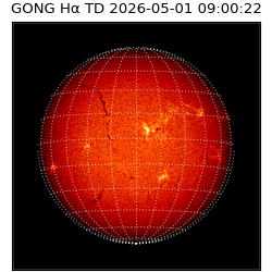 gong - 2026-05-01T09:00:22