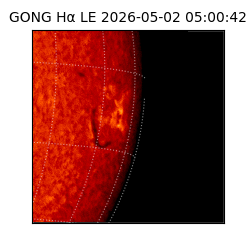 gong - 2026-05-02T05:00:42