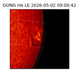 gong - 2026-05-02T09:00:42