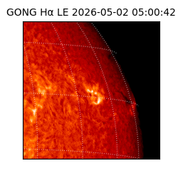 gong - 2026-05-02T05:00:42