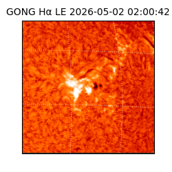 gong - 2026-05-02T02:00:42