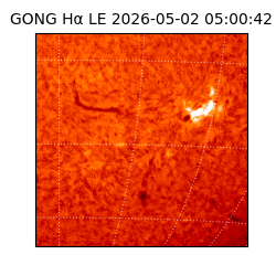 gong - 2026-05-02T05:00:42