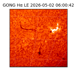 gong - 2026-05-02T06:00:42