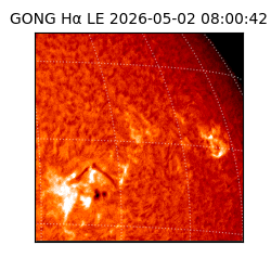 gong - 2026-05-02T08:00:42
