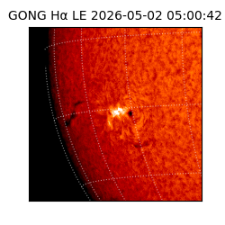 gong - 2026-05-02T05:00:42