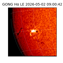 gong - 2026-05-02T09:00:42