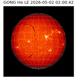gong - 2026-05-02T02:00:42