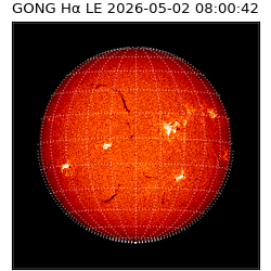 gong - 2026-05-02T08:00:42
