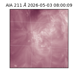 saia - 2026-05-03T08:00:09.623000