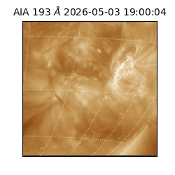 saia - 2026-05-03T19:00:04.842000