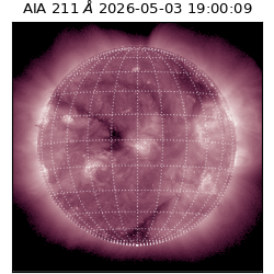 saia - 2026-05-03T19:00:09.623000