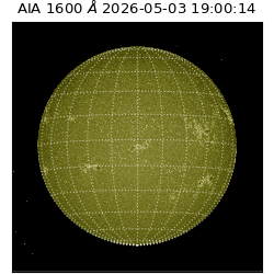 saia - 2026-05-03T19:00:14.123000