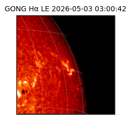 gong - 2026-05-03T03:00:42