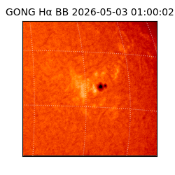 gong - 2026-05-03T01:00:02