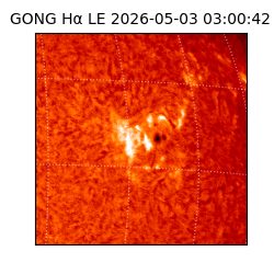 gong - 2026-05-03T03:00:42