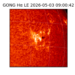 gong - 2026-05-03T09:00:42