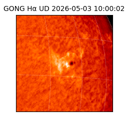 gong - 2026-05-03T10:00:02