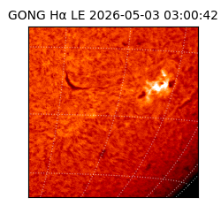 gong - 2026-05-03T03:00:42