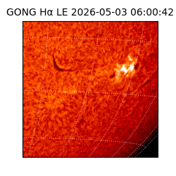 gong - 2026-05-03T06:00:42