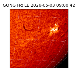 gong - 2026-05-03T09:00:42