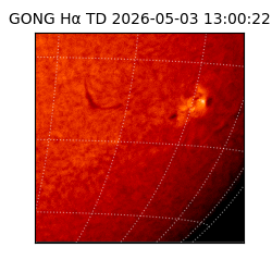 gong - 2026-05-03T13:00:22