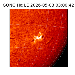 gong - 2026-05-03T03:00:42