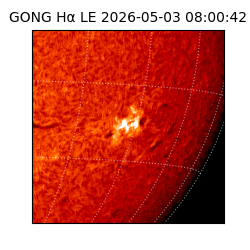 gong - 2026-05-03T08:00:42