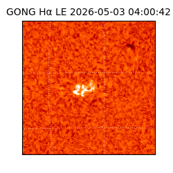 gong - 2026-05-03T04:00:42