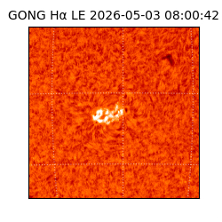 gong - 2026-05-03T08:00:42