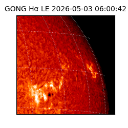 gong - 2026-05-03T06:00:42